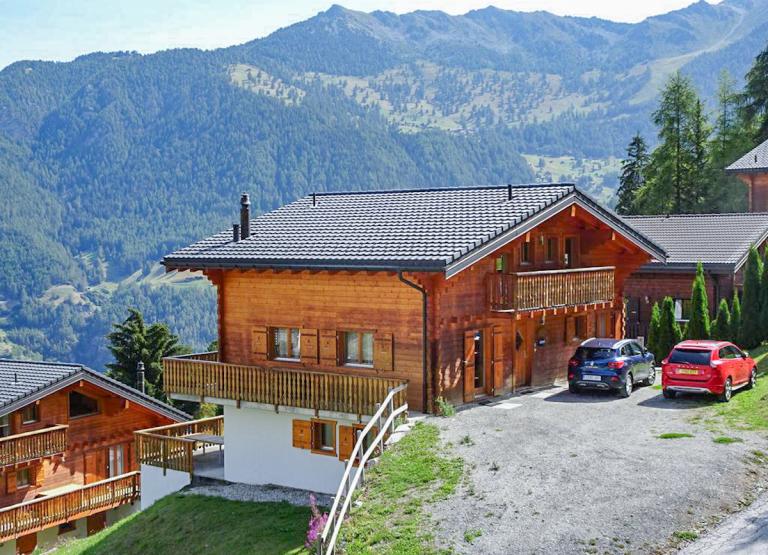 Large Family Chalet